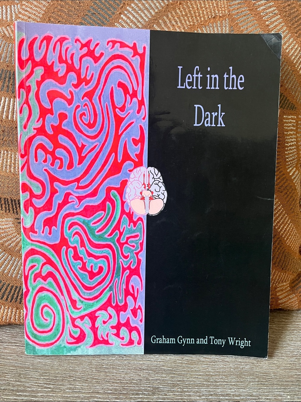 Left in the Dark by Graham Gynn and Tony Wright